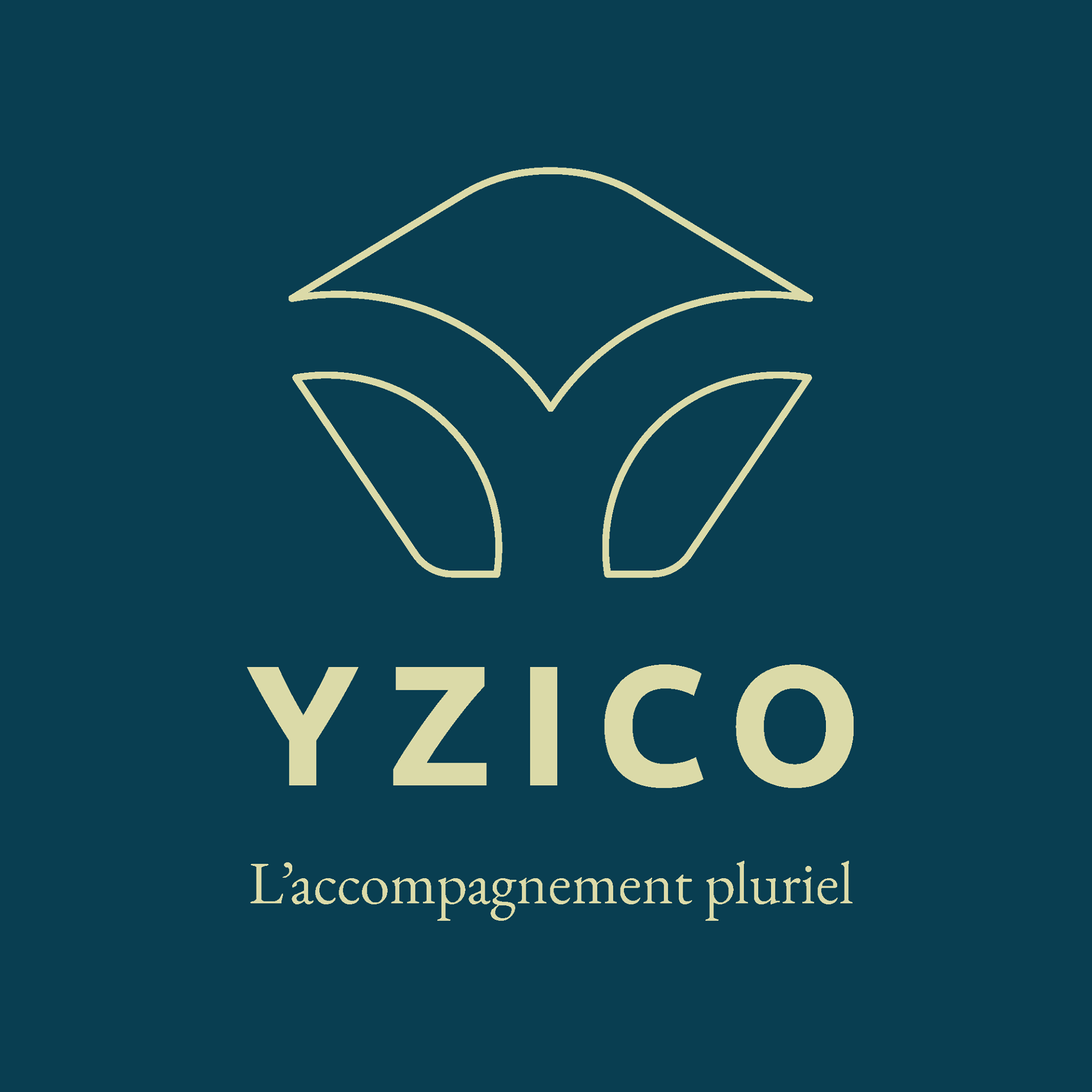 YZICO